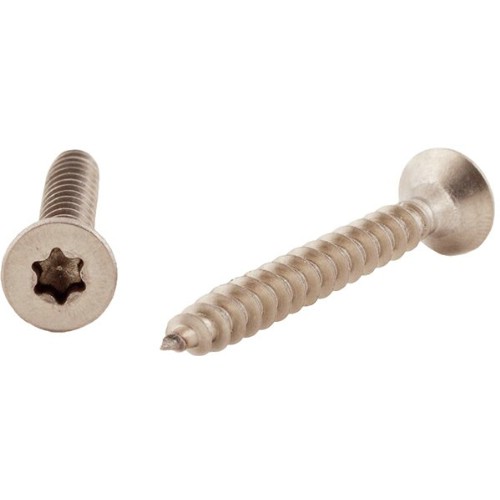 Träskruv TFT A4 Torx