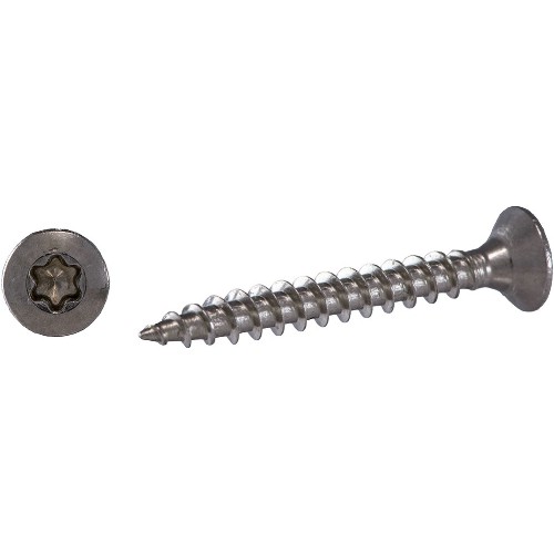 VVS-skruv TKFT A2 Torx