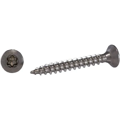 VVS-skruv TKFT A2 Torx